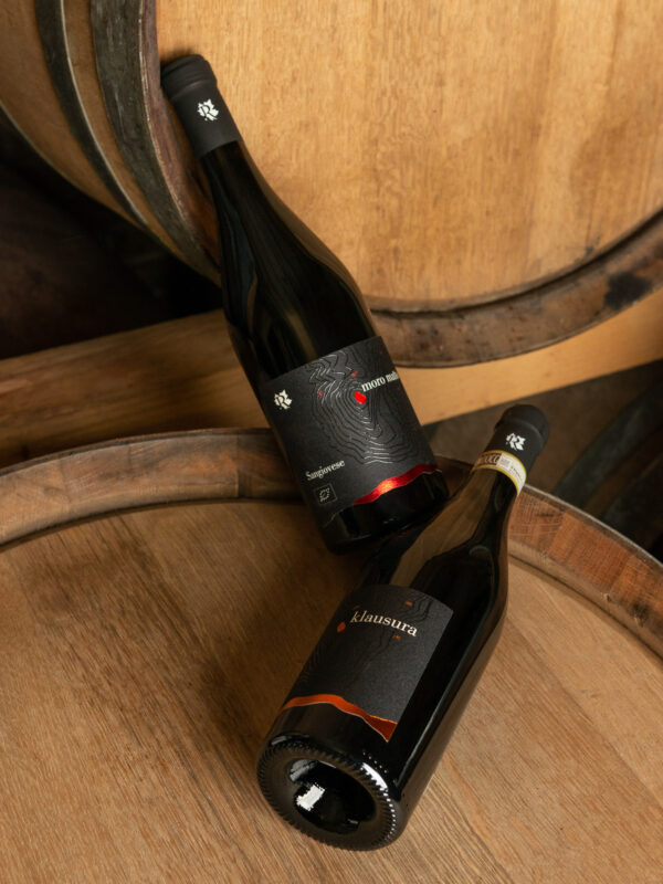 Coppia di bottiglie di vino fotografate su botti di legno in cantina